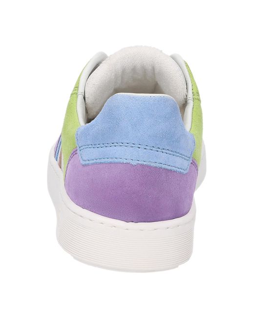 Sioux Multicolor Sneaker Tedroso