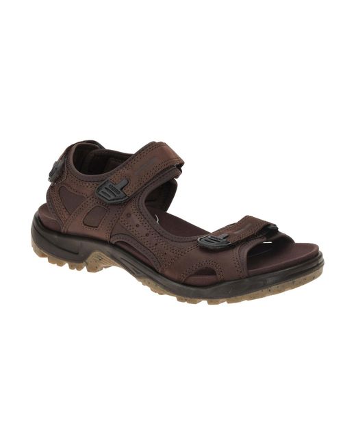 Ecco Sandale in Brown für Herren