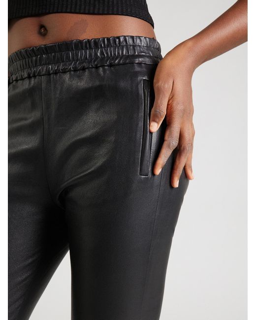 Oakwood Gray Hose Ivana