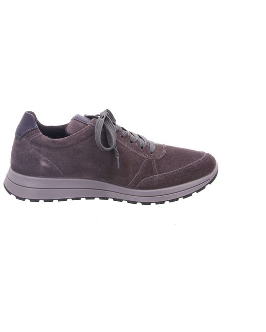 Ara Sneaker in Purple für Herren