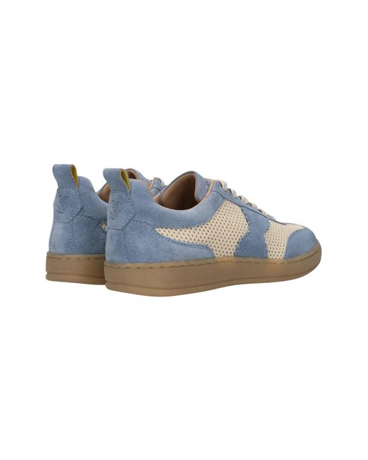 Salamander Blue Sneaker