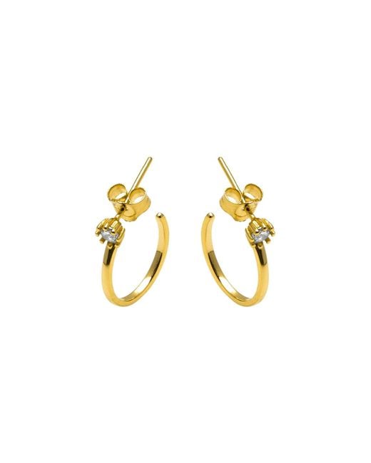 Luxenter Metallic Ohrringe Nazta