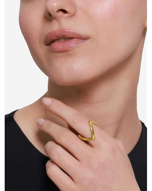 Heideman Metallic Ring Aeca