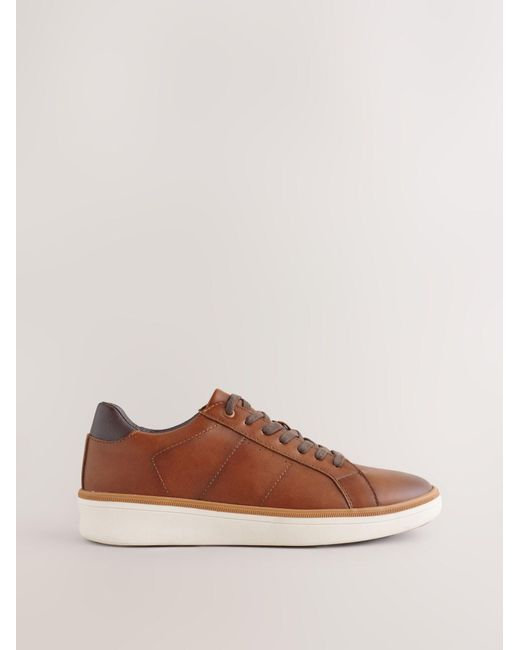 Next Sneaker in Brown für Herren
