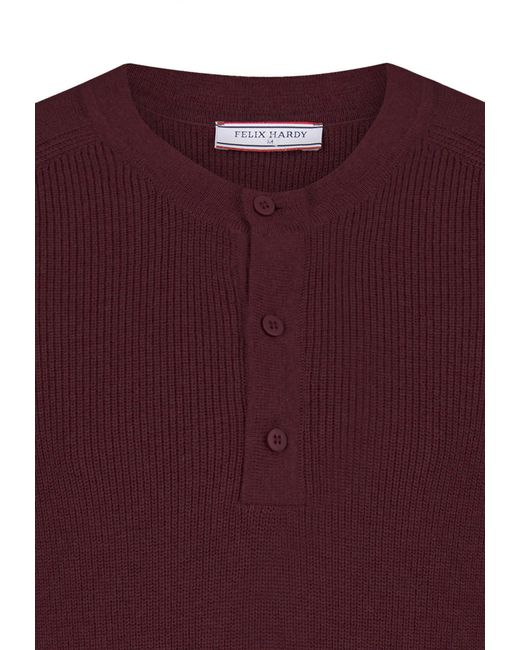 Felix Hardy Pullover in Purple für Herren
