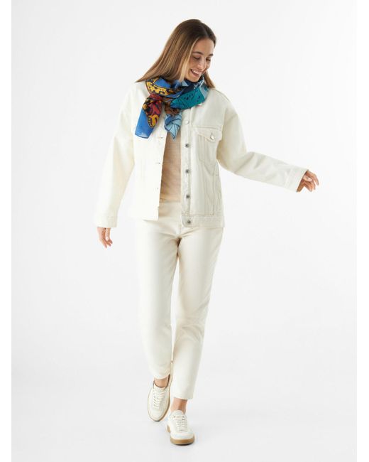 Codello Blue Schal