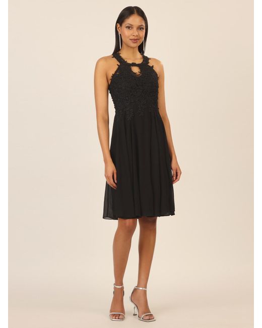 Apart Black Kleid