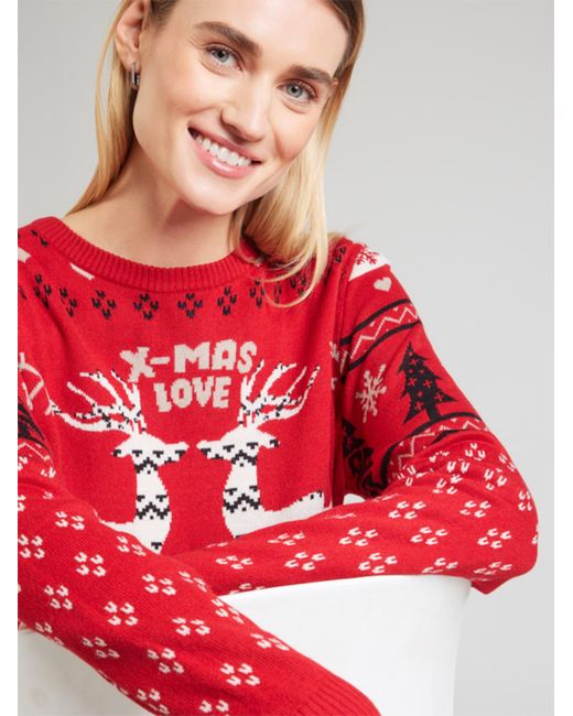 Sublevel Red Pullover