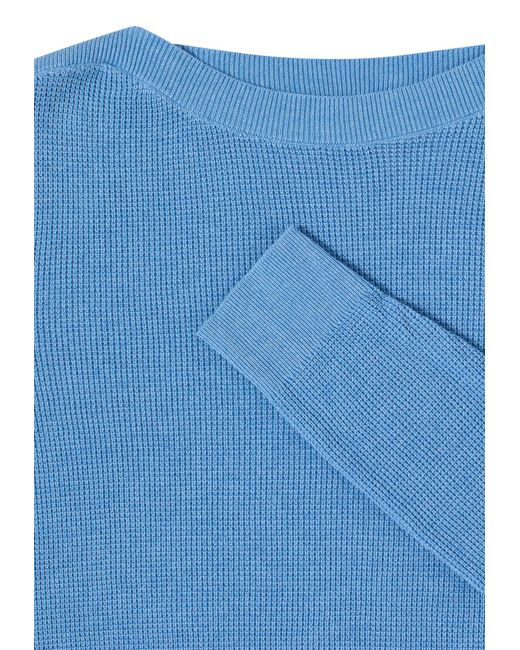 Cecil Blue Pullover