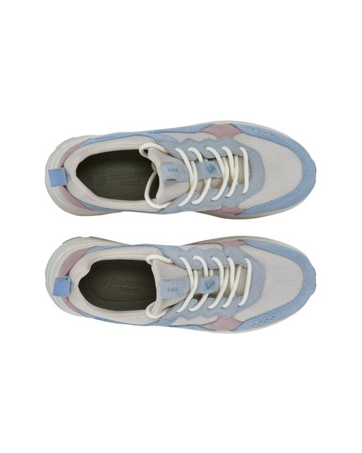 Salamander Blue Sneaker