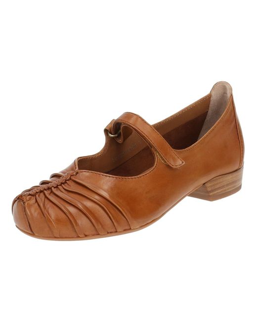 Everybody Brown Ballerina