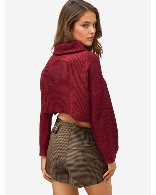 Hiccup Red Pullover