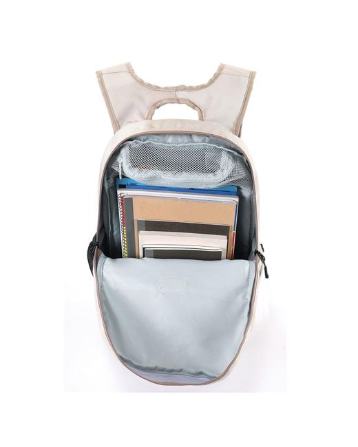 Nitro Rucksack Chase in Gray für Herren