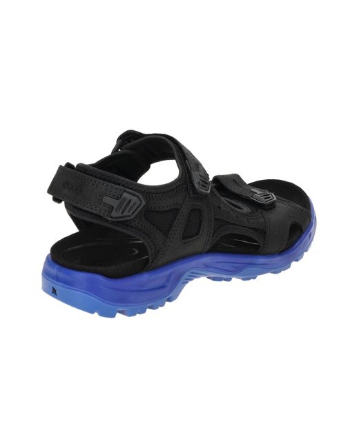 Ecco Sandale in Blue für Herren