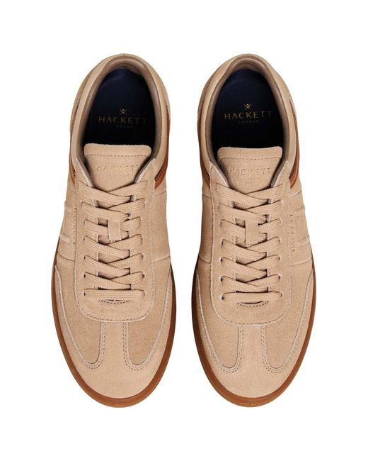 Hackett Sneaker Beck Ivys in Brown für Herren
