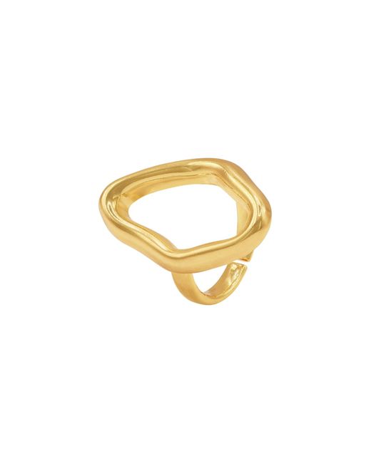 Heideman Metallic Ring Jolina