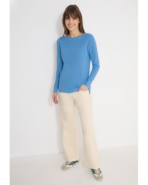 Cecil Blue Pullover