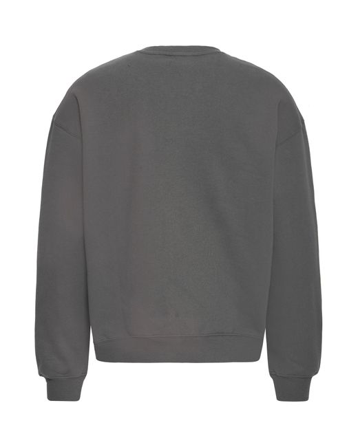 Solid Sweatshirt Sdvarro in Gray für Herren