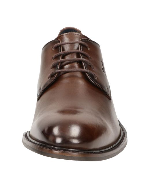 Sioux Schnürschuh in Brown für Herren