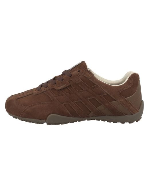 Geox Sneaker in Brown für Herren