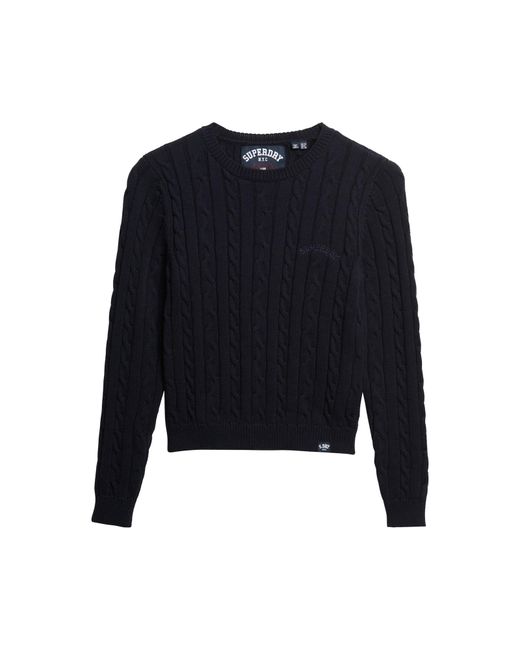 Superdry & Co Blue Pullover Essentials