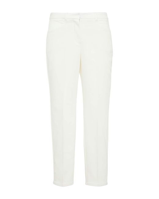 Comma, White Hose