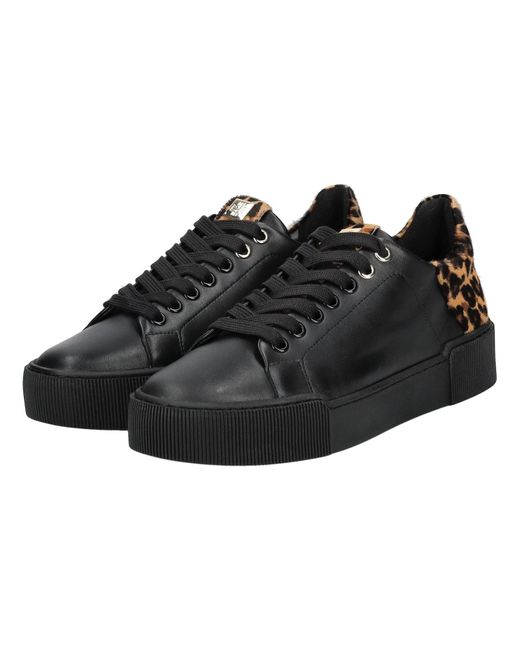 Högl Black Sneaker
