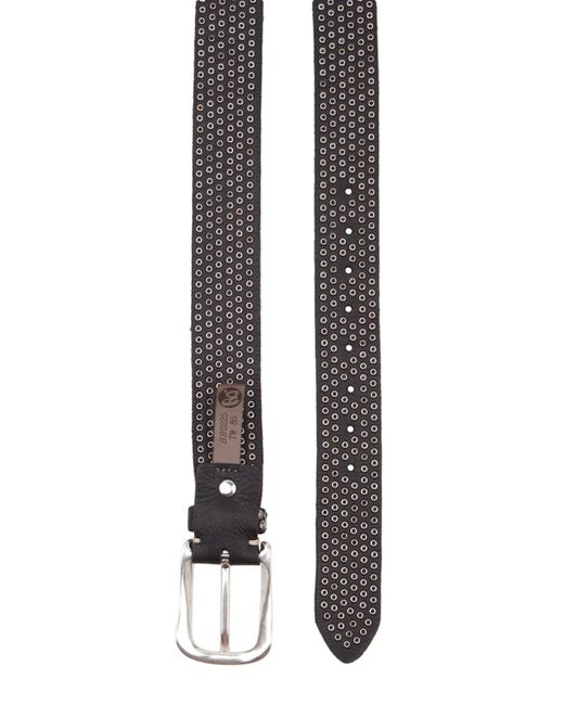 B. Belt Black Nietengürtel