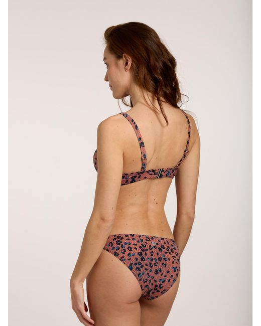 Olympia Brown Bikinitop