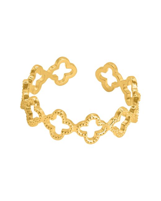 Heideman Metallic Ring Pilus