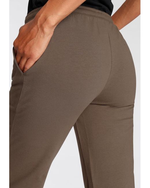 Flashlights Brown Hose