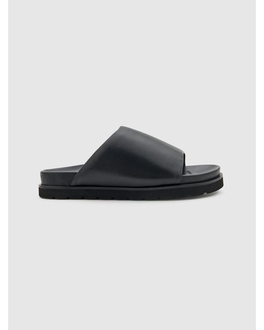 EDITED Black Slipper Mirea