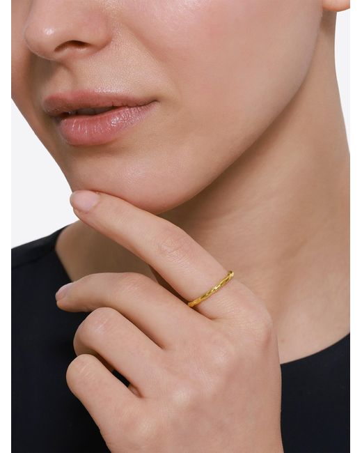 Heideman Metallic Ring Pater