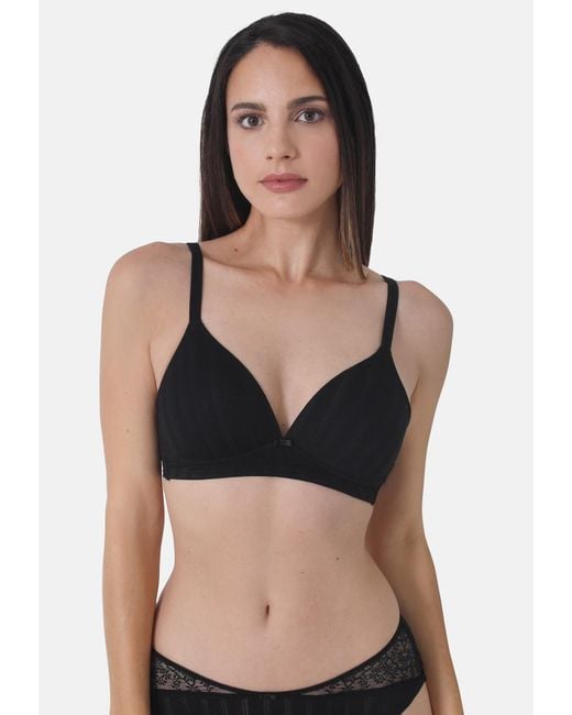 Sassa Black Sassa Bh
