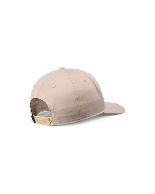 Djinn's Multicolor Cap Mountains