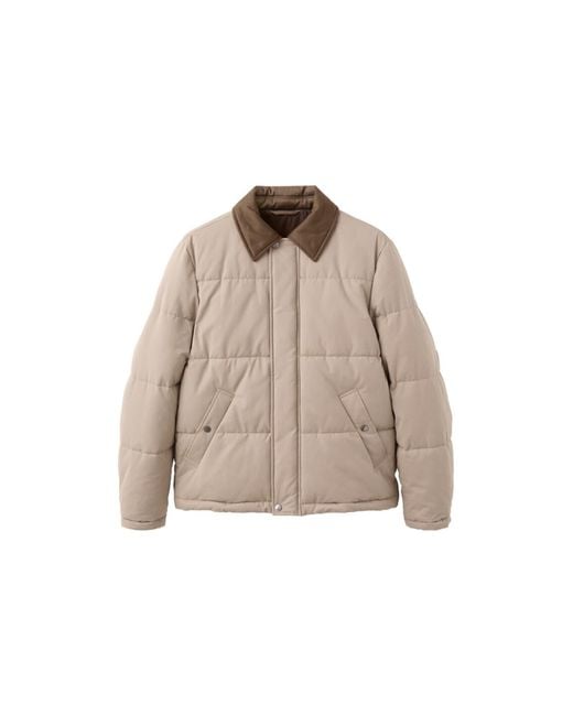 Mango Jacke Beard in Natural für Herren