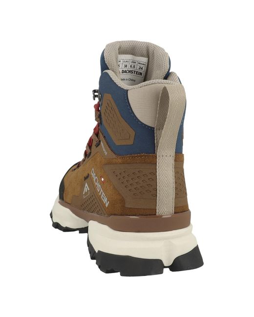 Dachstein Brown Sneaker