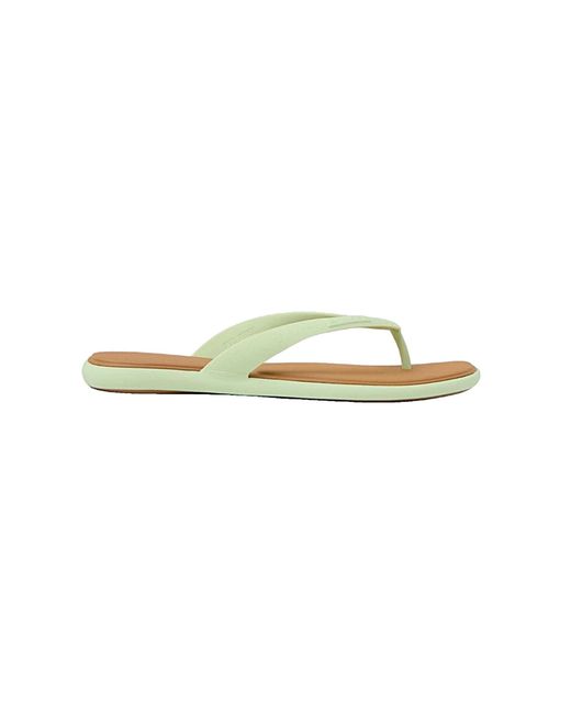 Reef Brown Pantolette