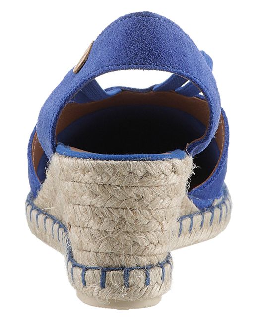 Verbenas Blue Sandale