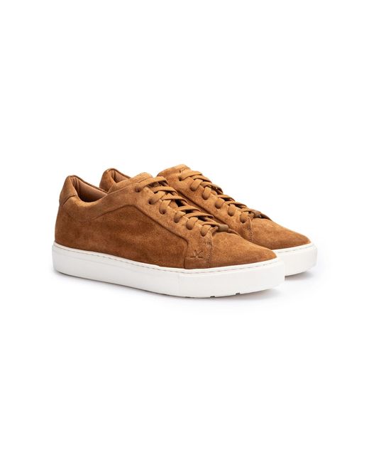 Lloyd Sneaker Metro in Brown für Herren