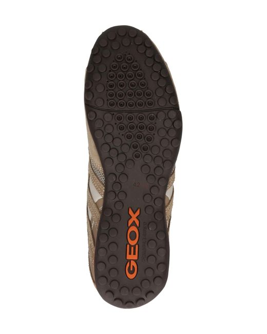Geox Sneaker Uomo Snake in Multicolor für Herren