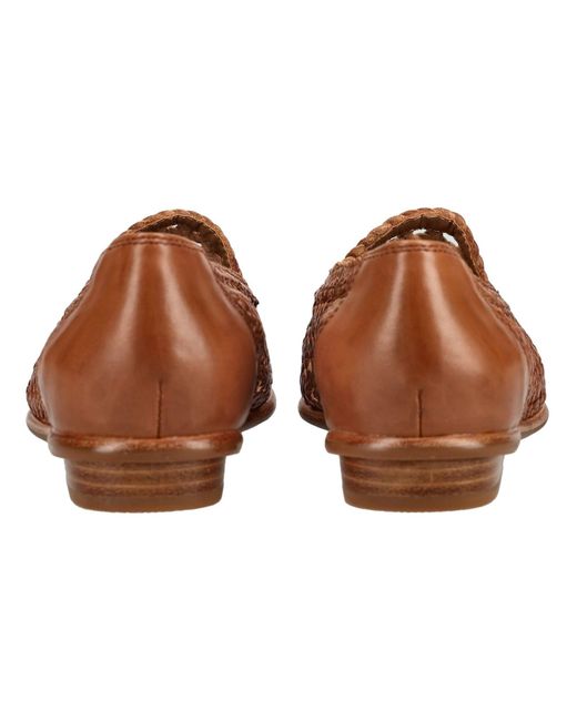 Everybody Brown Slipper
