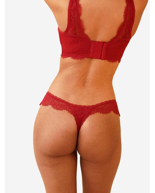 SugarShape Red String