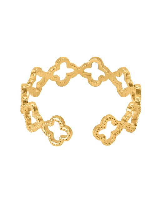 Heideman Metallic Ring Pilus