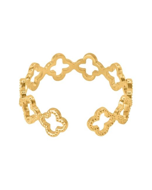 Heideman Metallic Ring Pilus
