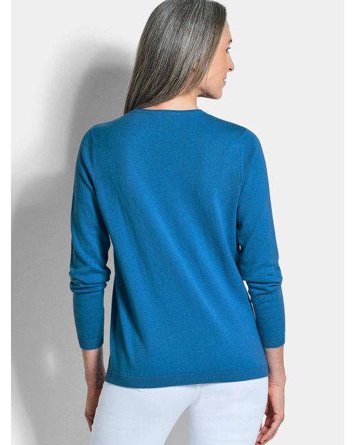 Goldner Blue Pullover
