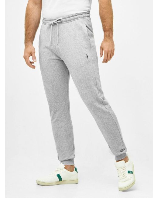 NIKIN Gray Hose Tree