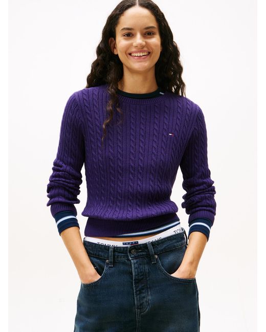 Tommy Hilfiger Blue Pullover Essential