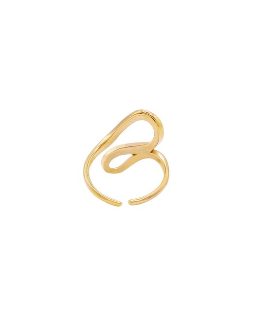 Heideman Metallic Ring