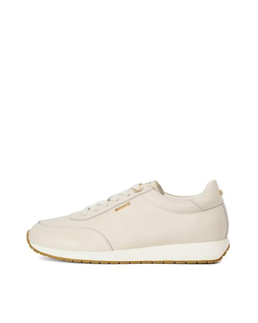 Dune White Sneaker Ettah